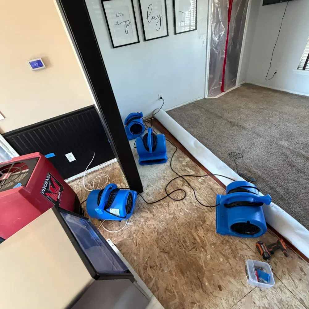 IICRC certified drying setup in Delaware County, IN