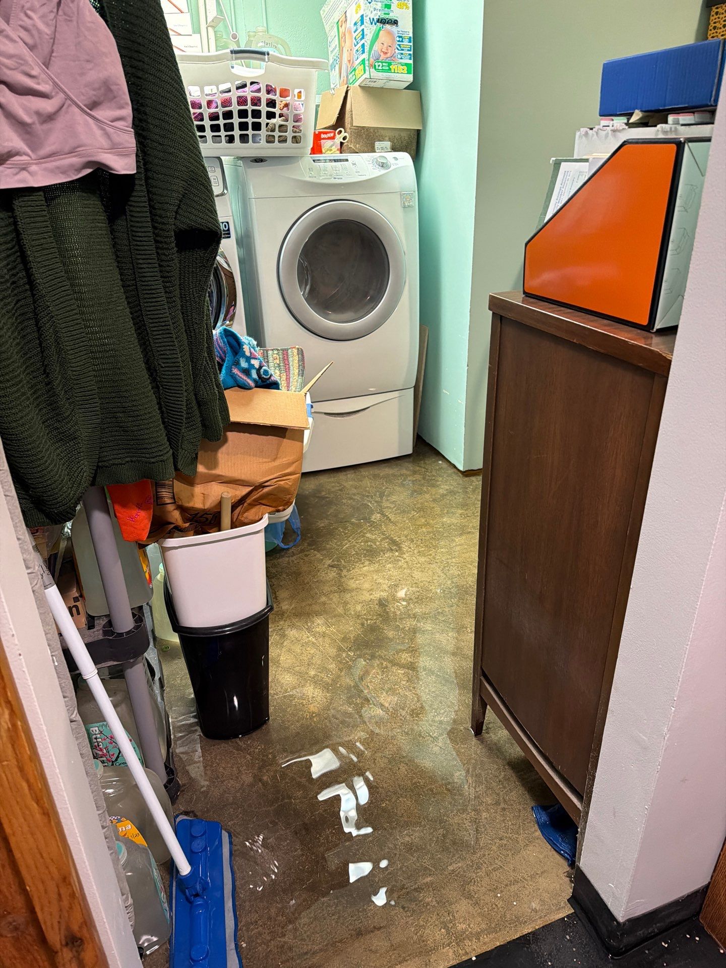 Water Damage Categories 1, 2, 3: Daleville Guide